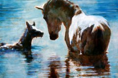 мать и жеребёнок в воде